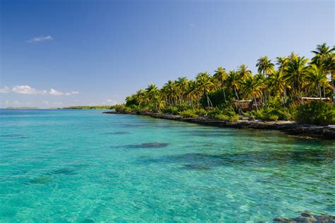 Caribbean SEO .